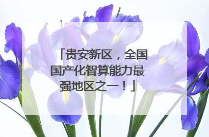 贵安新区，全国国产化智算能力最强地区之一！