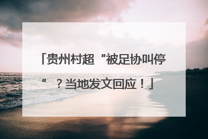 贵州村超“被足协叫停”？当地发文回应！