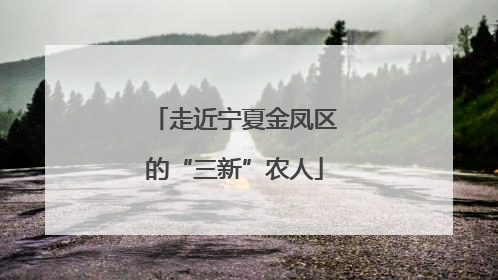 走近宁夏金凤区的“三新”农人