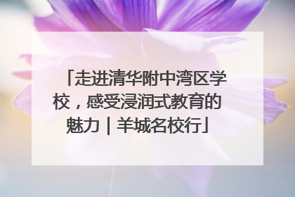 走进清华附中湾区学校，感受浸润式教育的魅力｜羊城名校行