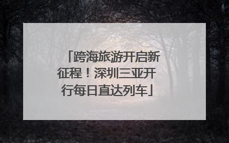 跨海旅游开启新征程！深圳三亚开行每日直达列车
