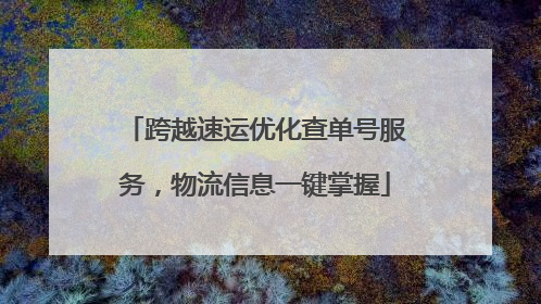 跨越速运优化查单号服务，物流信息一键掌握