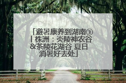 避暑康养到湖南③丨株洲：炎陵神农谷&茶陵花湖谷 夏日消暑好去处