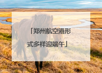郑州航空港形式多样迎端午