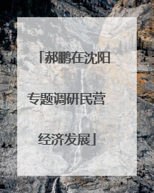 郝鹏在沈阳专题调研民营经济发展