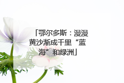 鄂尔多斯：漫漫黄沙渐成千里“蓝海”和绿洲