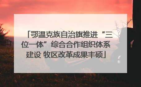 鄂温克族自治旗推进“三位一体”综合合作组织体系建设 牧区改革成果丰硕