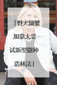 野火频繁 加拿大尝试新型撒种造林法