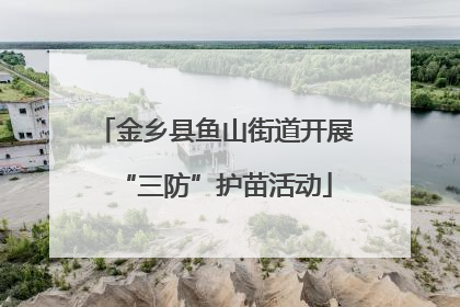 金乡县鱼山街道开展“三防”护苗活动
