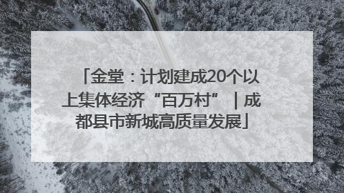 金堂：计划建成20个以上集体经济“百万村”｜成都县市新城高质量发展