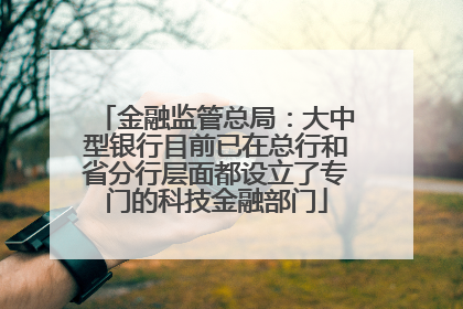 金融监管总局：大中型银行目前已在总行和省分行层面都设立了专门的科技金融部门