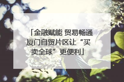 金融赋能 贸易畅通 厦门自贸片区让“买卖全球”更便利