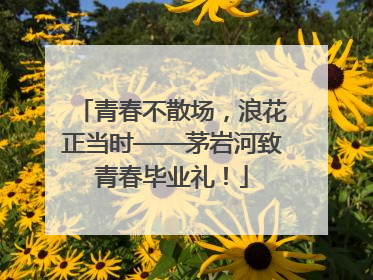 青春不散场，浪花正当时——茅岩河致青春毕业礼！