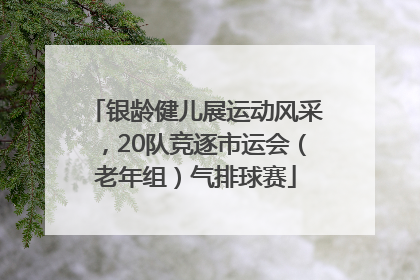 银龄健儿展运动风采，20队竞逐市运会（老年组）气排球赛