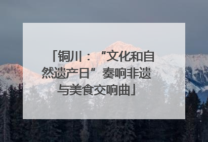 铜川：“文化和自然遗产日”奏响非遗与美食交响曲