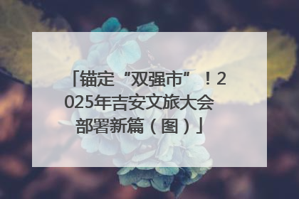 锚定“双强市”！2025年吉安文旅大会部署新篇（图）