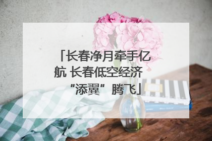 长春净月牵手亿航 长春低空经济“添翼”腾飞