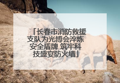 长春市消防救援支队为光博会淬炼安全盾牌 筑牢科技盛宴防火墙