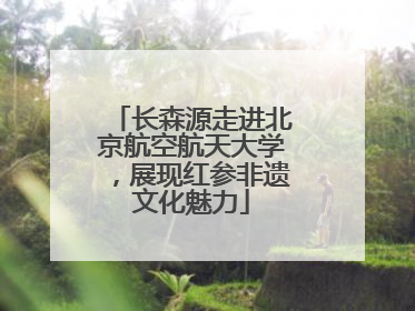 长森源走进北京航空航天大学，展现红参非遗文化魅力