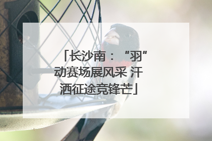 长沙南：“羽”动赛场展风采 汗洒征途竞锋芒