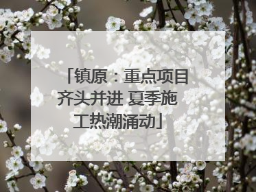 镇原：重点项目齐头并进 夏季施工热潮涌动