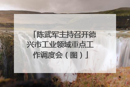 陈武军主持召开德兴市工业领域重点工作调度会（图）