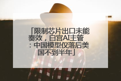 限制芯片出口未能奏效，白宫AI主管：中国模型仅落后美国不到半年