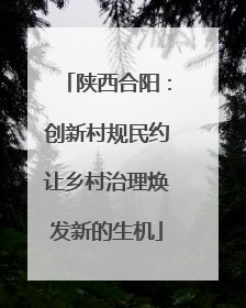 陕西合阳：创新村规民约让乡村治理焕发新的生机