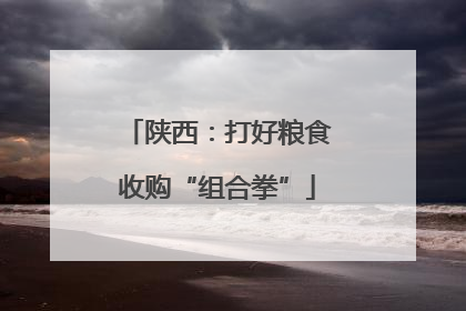 陕西：打好粮食收购“组合拳”