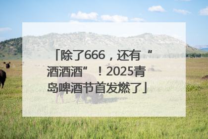 除了666，还有“酒酒酒”！2025青岛啤酒节首发燃了