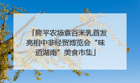 隆平农场袁谷米乳首发亮相中非经贸博览会“味道湖南”美食市集