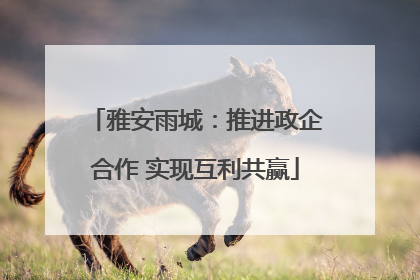 雅安雨城：推进政企合作 实现互利共赢