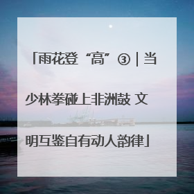 雨花登“高”③｜当少林拳碰上非洲鼓 文明互鉴自有动人韵律