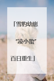 雪豹幼崽“凌小蛰”百日重生