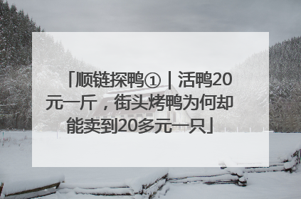 顺链探鸭①｜活鸭20元一斤，街头烤鸭为何却能卖到20多元一只