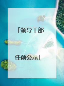 领导干部任前公示