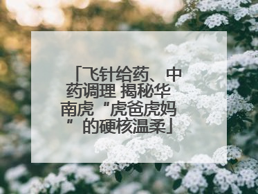 飞针给药、中药调理 揭秘华南虎“虎爸虎妈”的硬核温柔