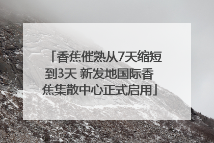 香蕉催熟从7天缩短到3天 新发地国际香蕉集散中心正式启用