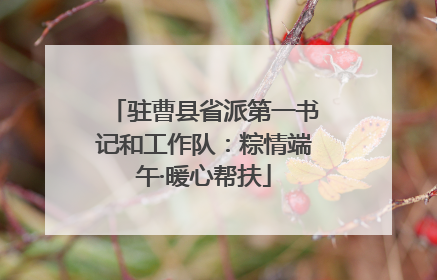 驻曹县省派第一书记和工作队：粽情端午·暖心帮扶