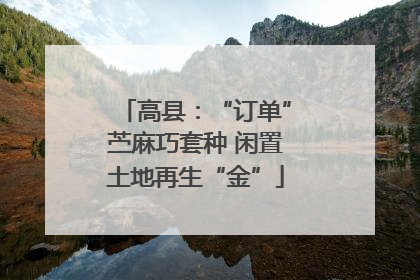 高县：“订单”苎麻巧套种 闲置土地再生“金”