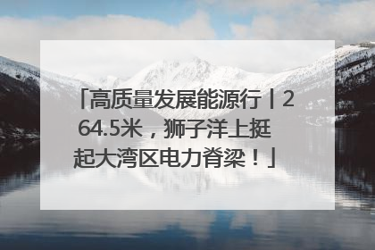 高质量发展能源行丨264.5米，狮子洋上挺起大湾区电力脊梁！