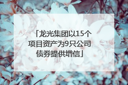 龙光集团以15个项目资产为9只公司债券提供增信