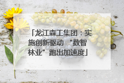 龙江森工集团：实施创新驱动 “数智林业”跑出加速度