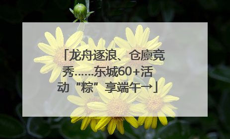 龙舟逐浪、仓廪竞秀……东城60+活动“粽”享端午→