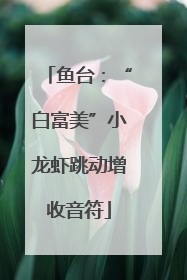 鱼台：“白富美”小龙虾跳动增收音符