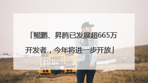 鲲鹏、昇腾已发展超665万开发者，今年将进一步开放