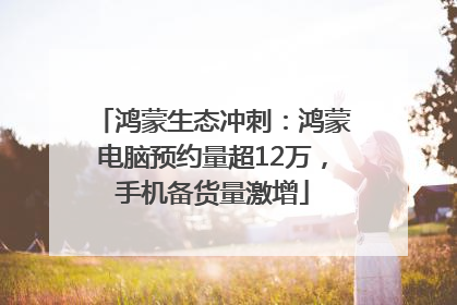 鸿蒙生态冲刺：鸿蒙电脑预约量超12万，手机备货量激增