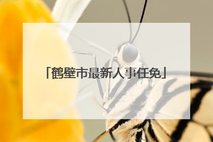 鹤壁市最新人事任免