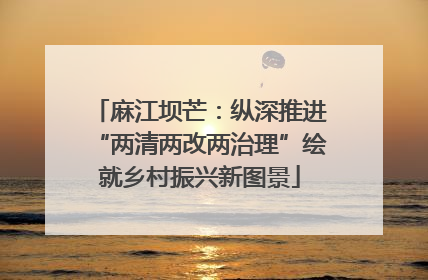 麻江坝芒：纵深推进“两清两改两治理”绘就乡村振兴新图景