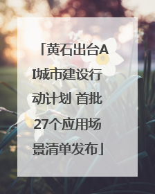 黄石出台AI城市建设行动计划 首批27个应用场景清单发布